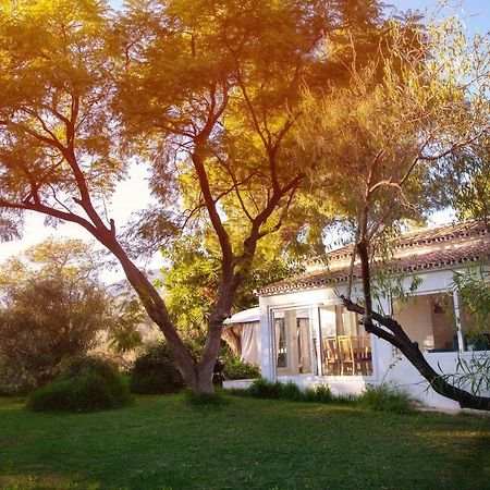 Finca Palmers Dos Mijas Buitenkant foto