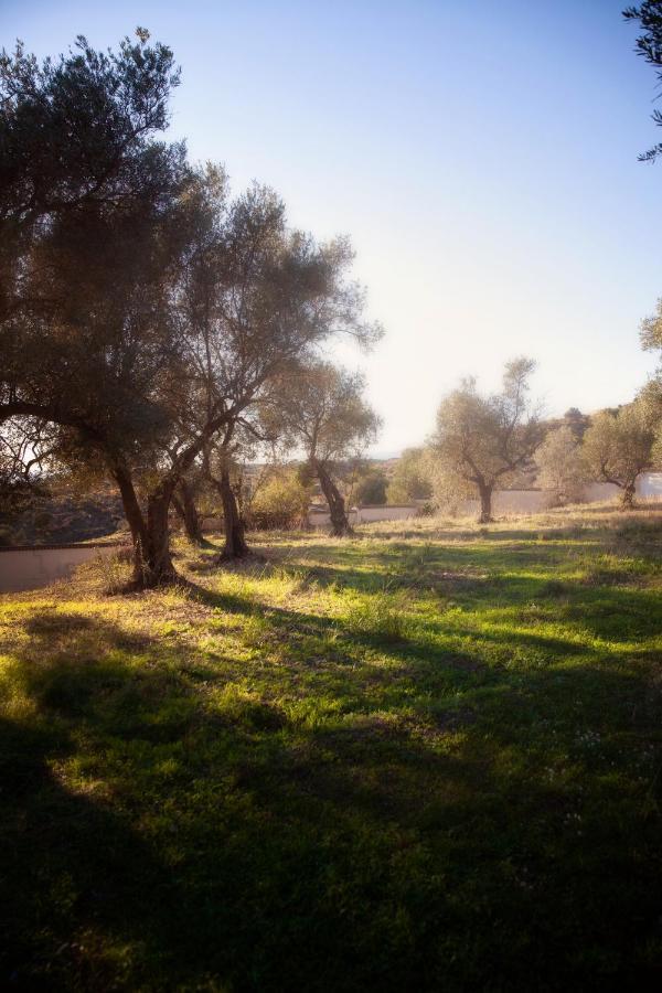 Finca Palmers Dos Mijas Buitenkant foto